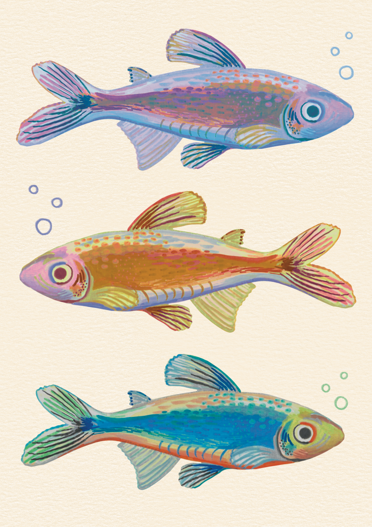 Three colorful fish illustrations on a white background with small bubbles.