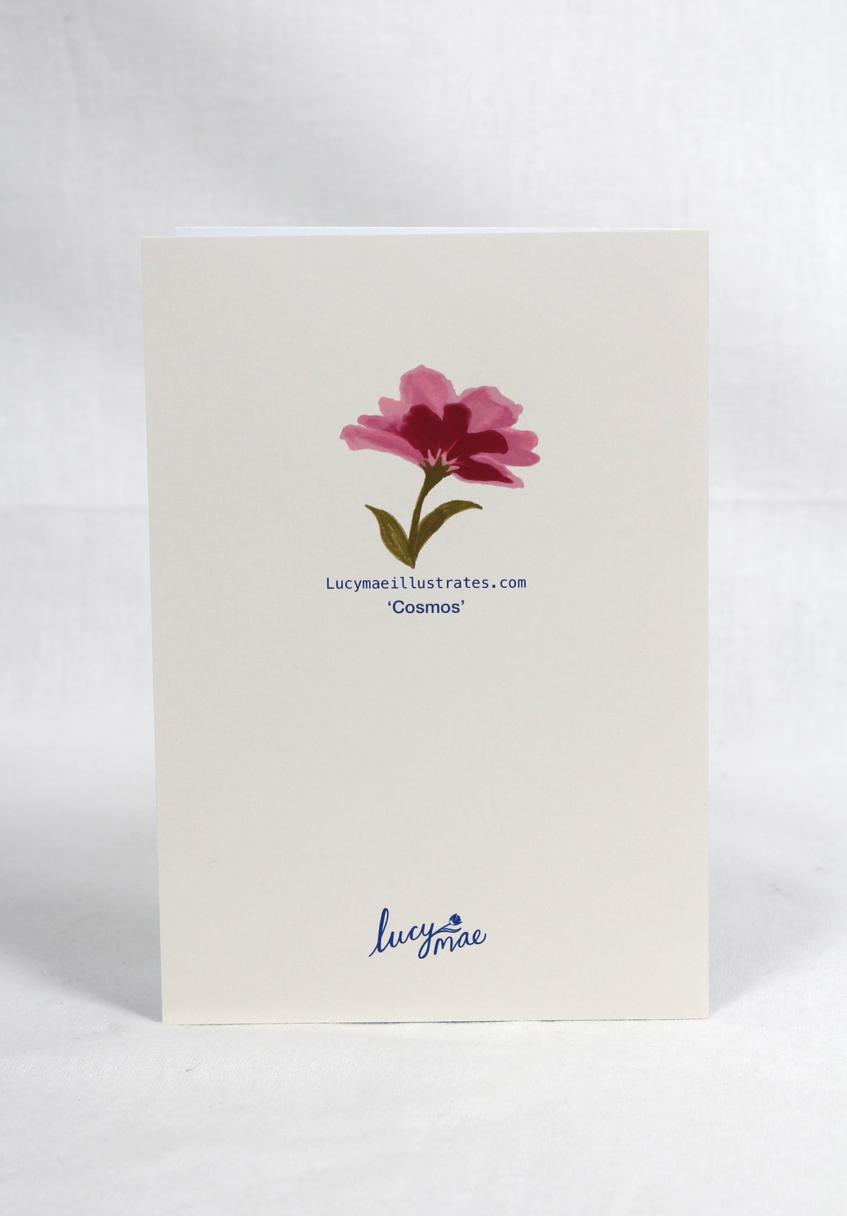 'Cosmos' Greetings Card
