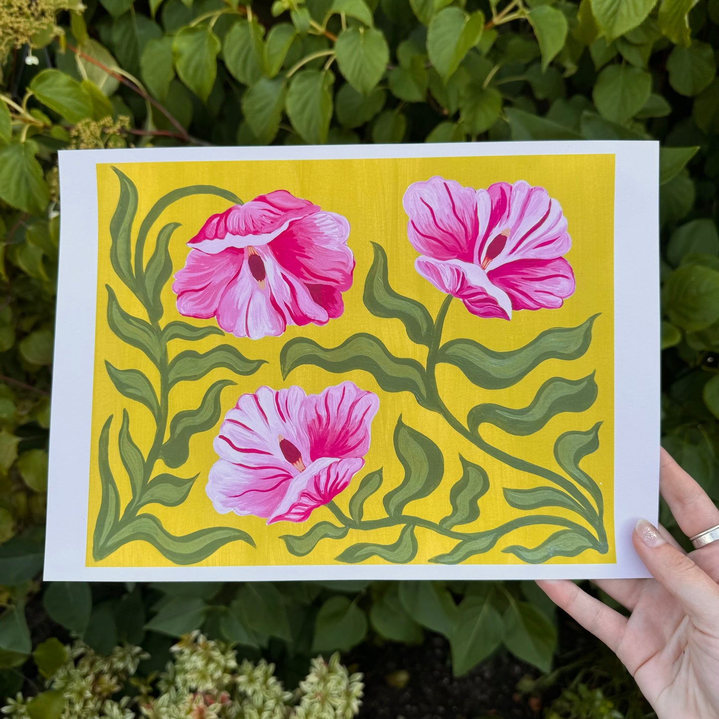 'Pink Poppies' Print